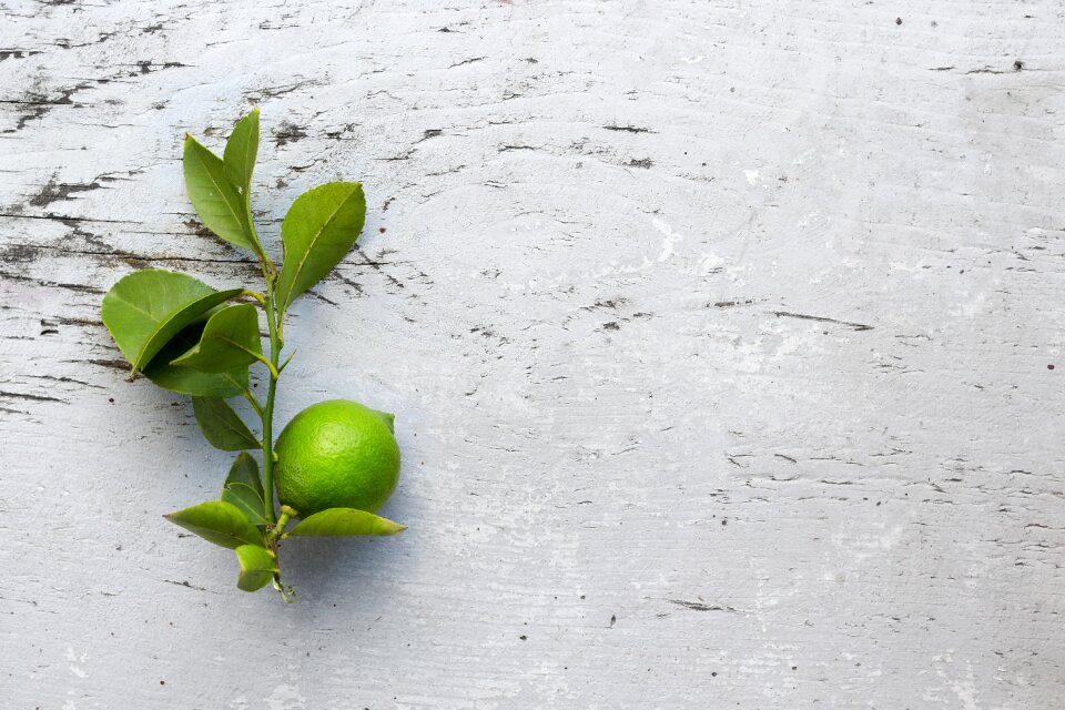 limete green lemon fresh