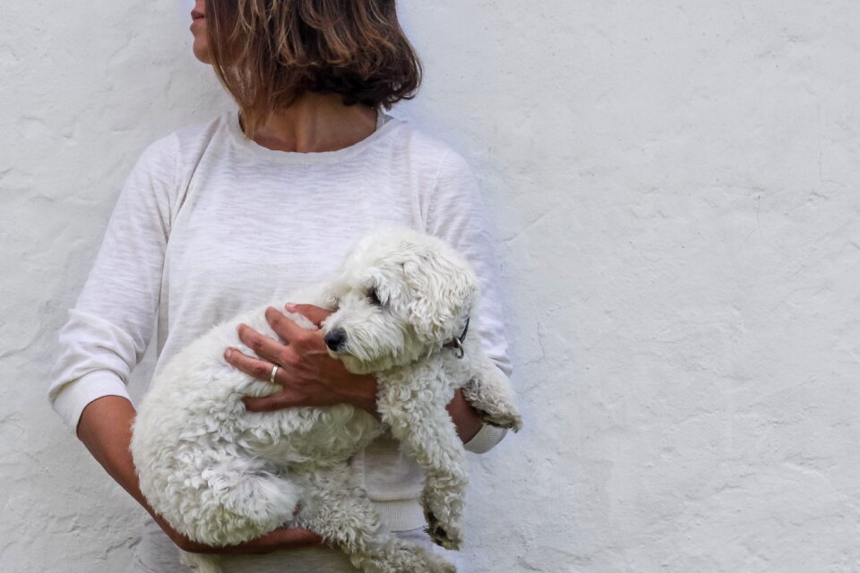 Nostalgic animal dog