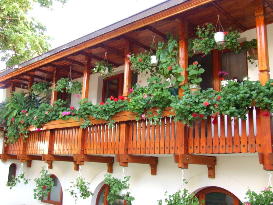 Wooden veranda with flower pots