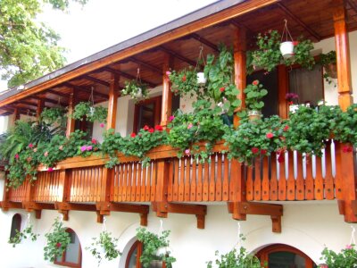 Wooden veranda with flower pots photo
