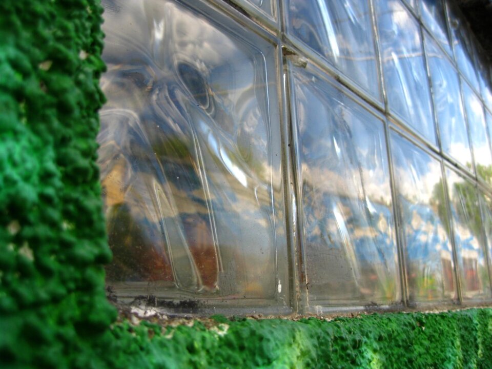 Glass wall reflecting grafitti