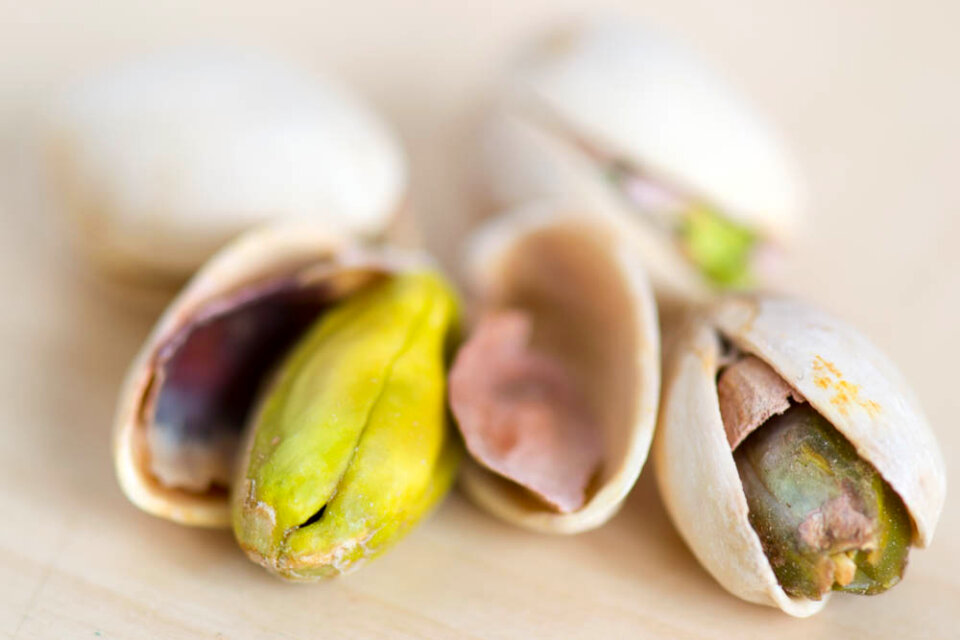 Macro of roasted pistachio seed