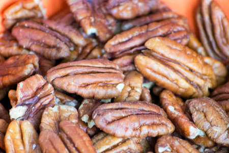 Pecan nuts photo