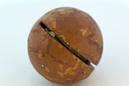 Macadamia nut