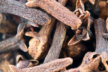 Aromatic dried cloves photo