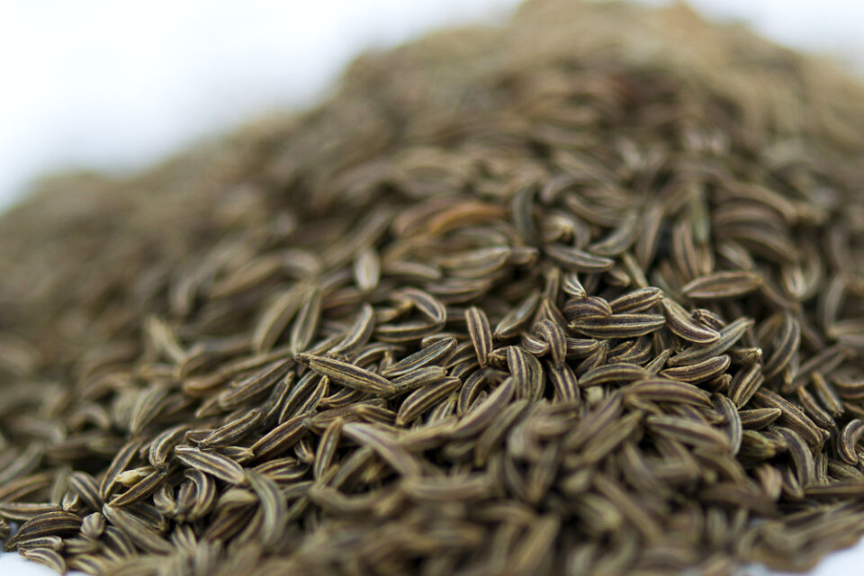 Caraway seeds macro