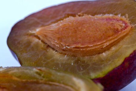 Split plum