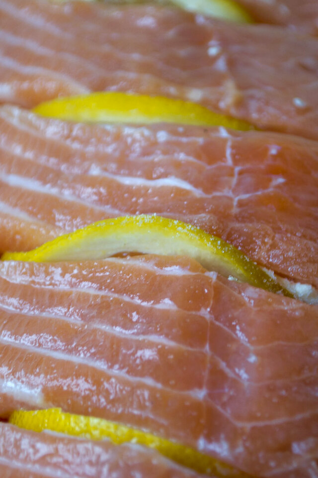 Rainbow trout fillet