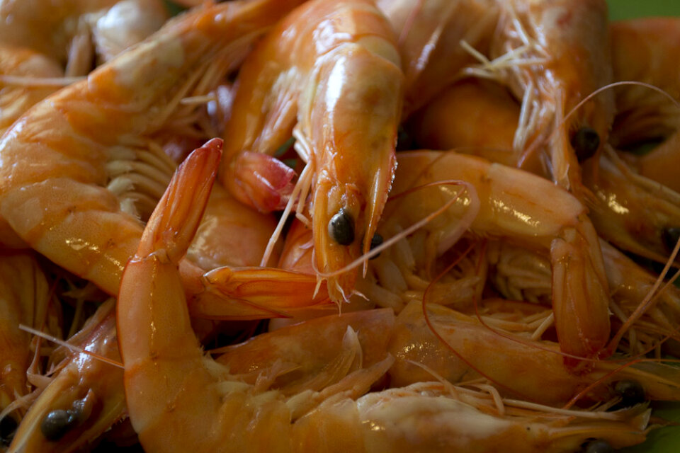 Shrimps ready to be cooked