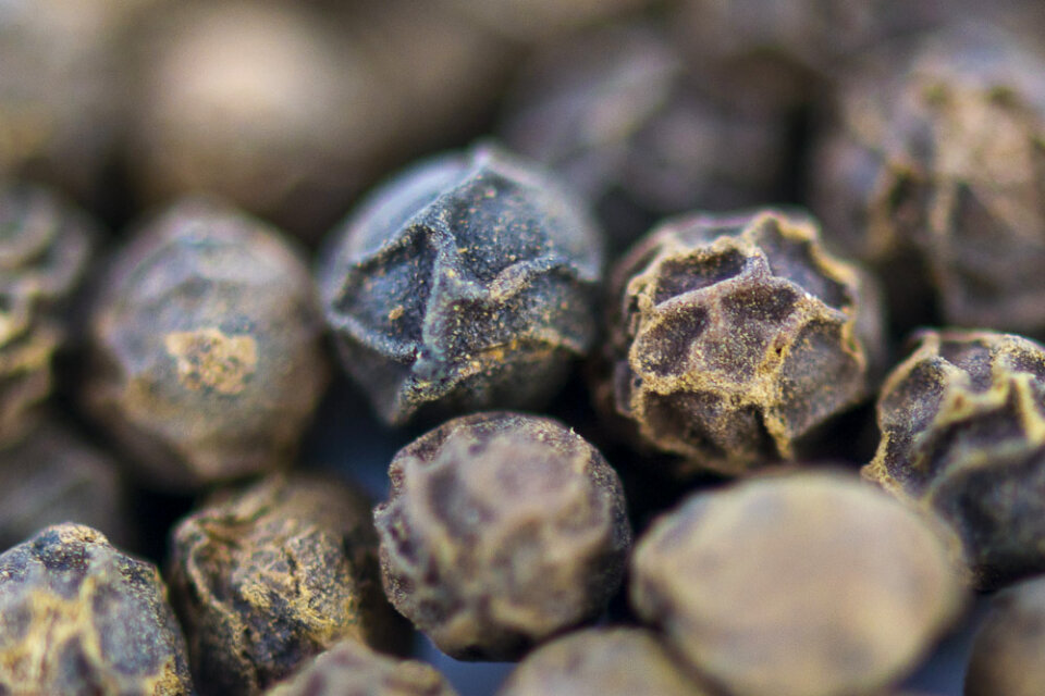 Black pepper peppercorns