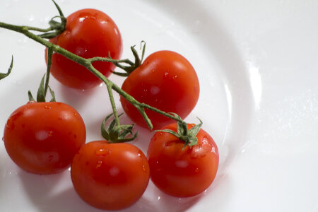 Cherry tomatoes on white plate photo