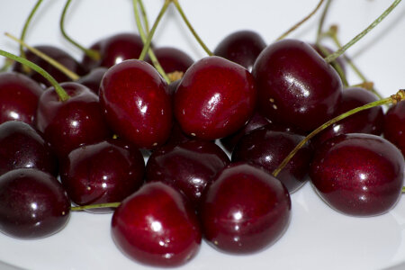 Bunch of cherries on a white plate photo
