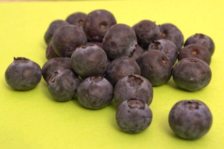 Pile of bilberry photo
