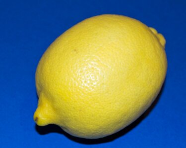 Lemon isolated on blue photo