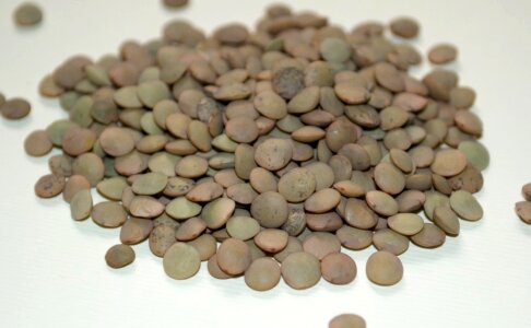 Brown lentils photo