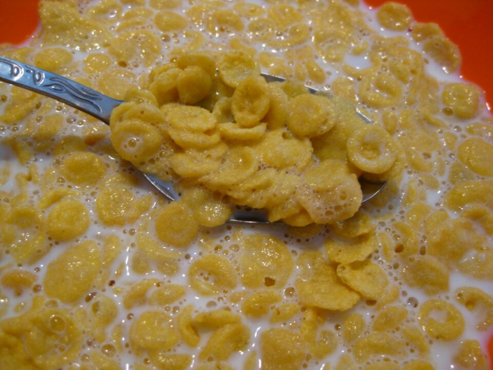 Spoon with cereals and milk