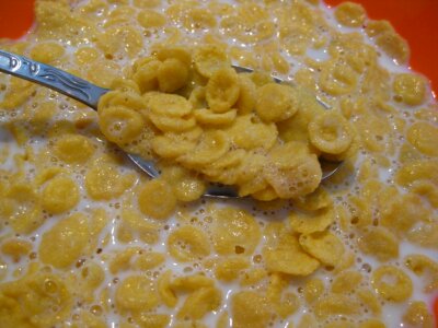Spoon with cereals and milk