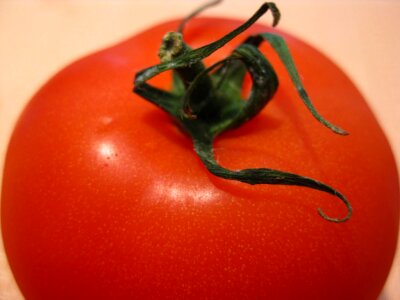 Tomato close up photo