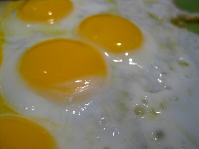 Sunny side up eggs on plate photo