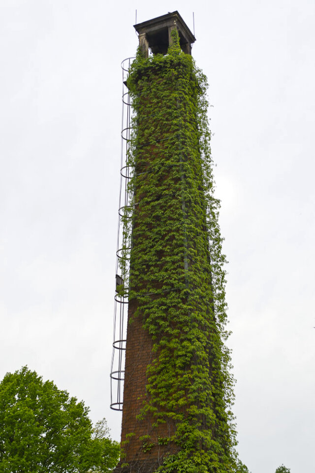 Vegetation covered chimney