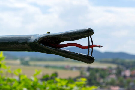 Ornamental snake head artwork photo