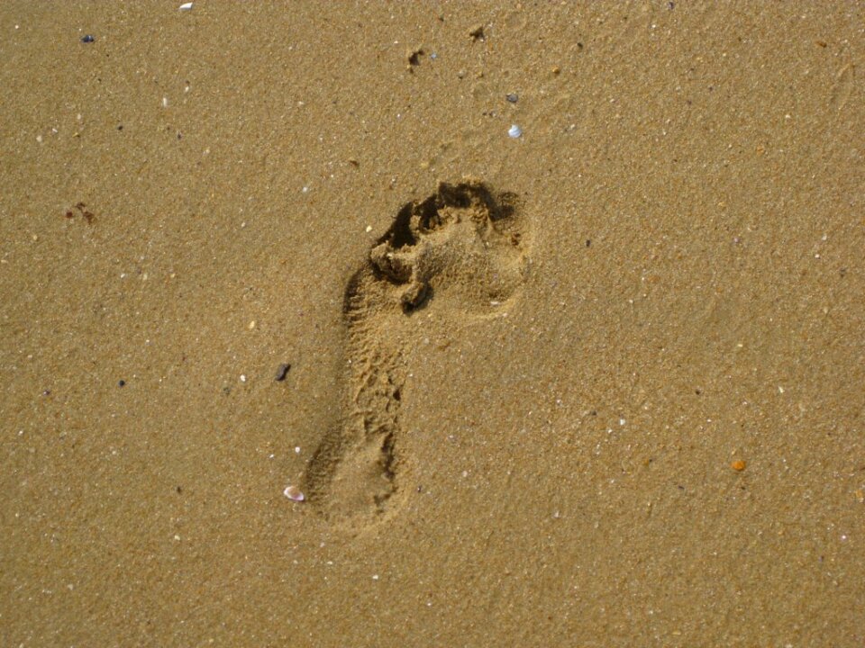 Footprint on beach sand photo