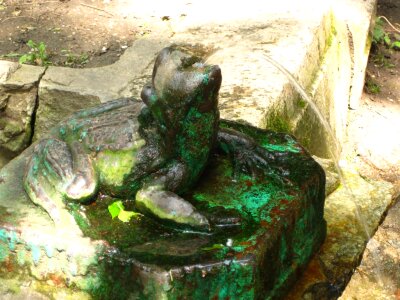 Stone fountain frog