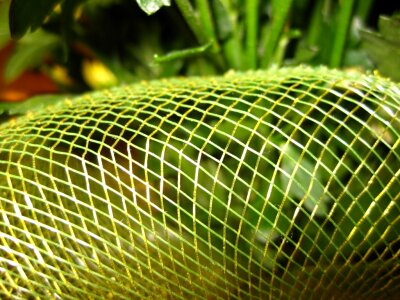 Green decoration of a bouqet