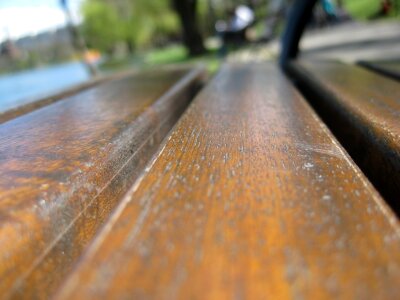 Bench in the park