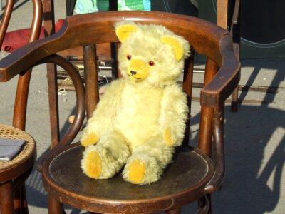 Yellow teddy bear on chair