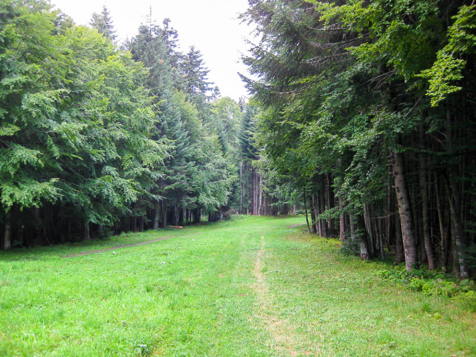 Summer mountain trail on ski slope photo