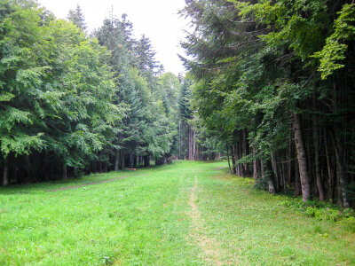 Summer mountain trail on ski slope photo