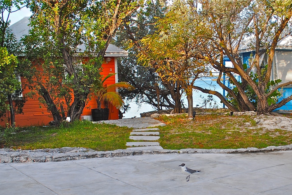 Bird cottages resort