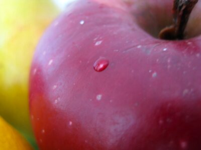 Water drops on red apple