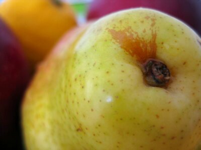 Close up shot of pear photo