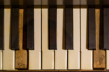 Black and white keys on piano keyboard photo
