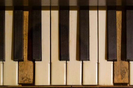 Black and white keys on piano keyboard