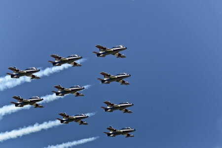Wedge flight formation photo