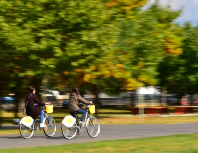 People riding bicycles in the park photo