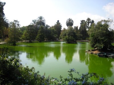 City park pond