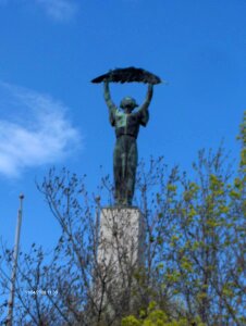 Liberty statue photo