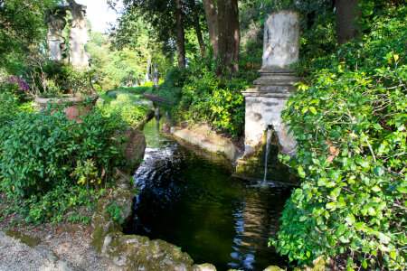 Bardini Gardens pond