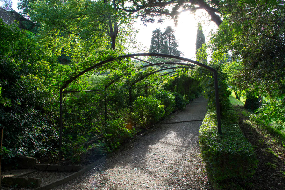 Bardini Gardens pergola