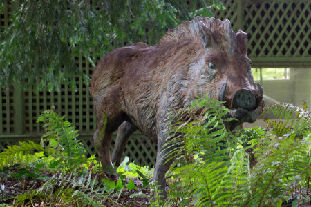 Wild boar sculpture photo