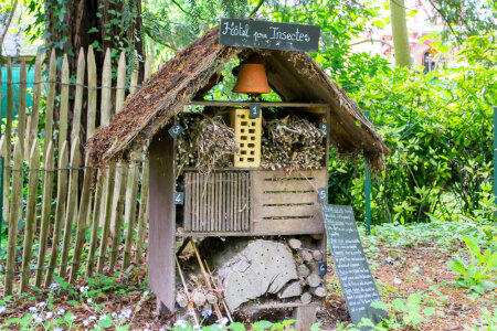 Insect hotel photo