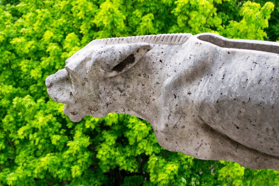 Gargoyle of Sacre Coeur