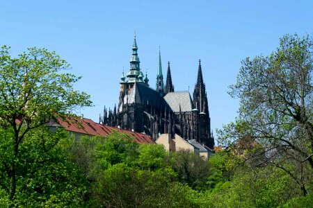 St. Vitus Cathedral photo