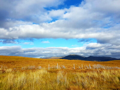 Broken white fence on Scottish plain photo