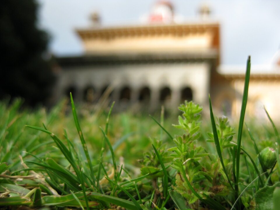 Park of the palace