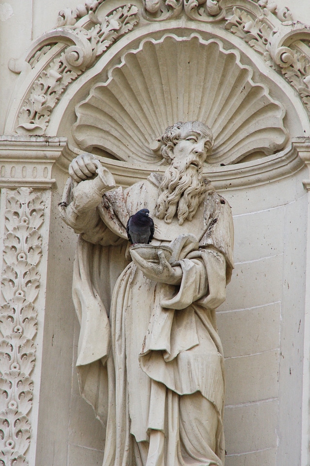 Baroque still image dove